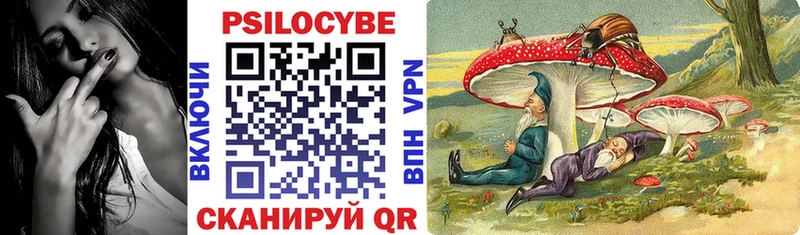 Псилоцибиновые грибы Psilocybine cubensis  Сальск 