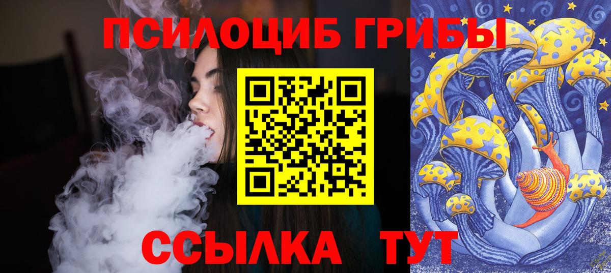 Сальск  Галлюциногенные грибы Psilocybe  Псилоцибиновые грибы Magic Shrooms  Вход с VPN 
