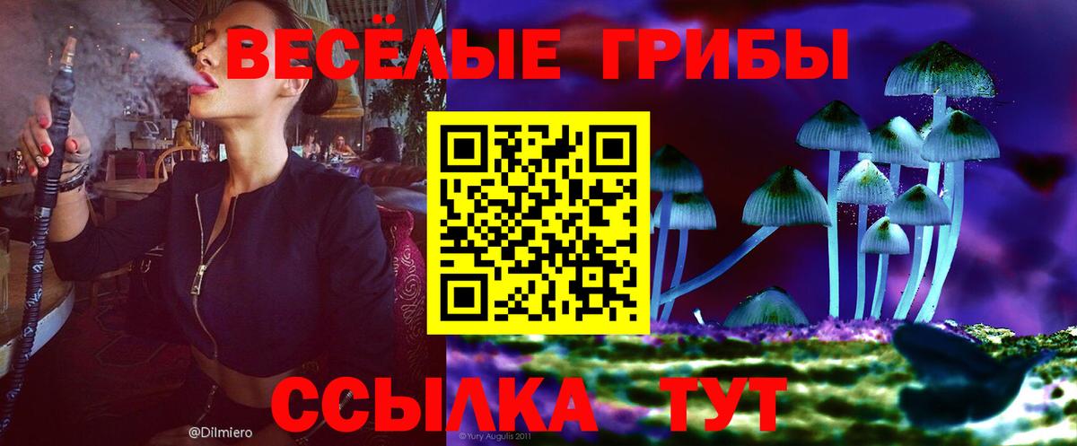 Где найти наркотики?  Мефедрон кристаллы  ГАШ  Сальск  Вход с VPN  МАРИХУАНА 